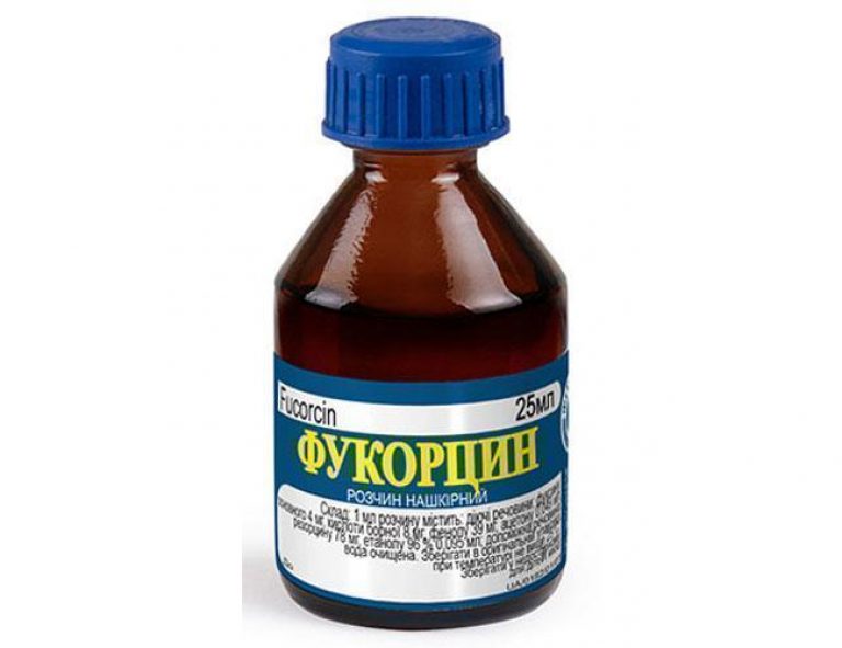 23508 ХЛОРОФІЛІПТ - Chlorophyllipt*