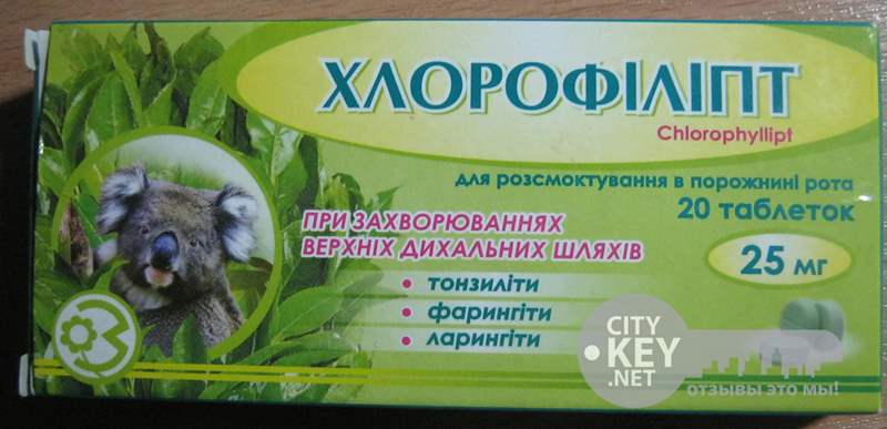 6171 ЕВКАФІЛІПТ - Eucalyptus vitaminalis**