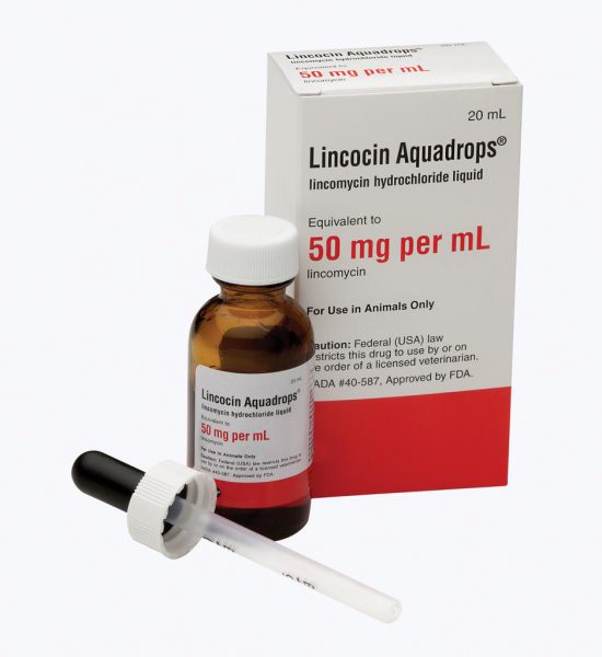 13019 ЛІНКОЦИН - Lincomycin