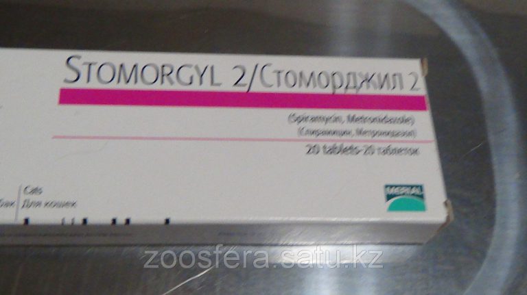 20679 АЗИПОЛ - Azithromycin