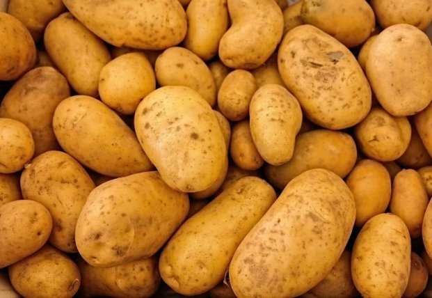 25245 Эксперты рассказали, когда нельзя употреблять картофель