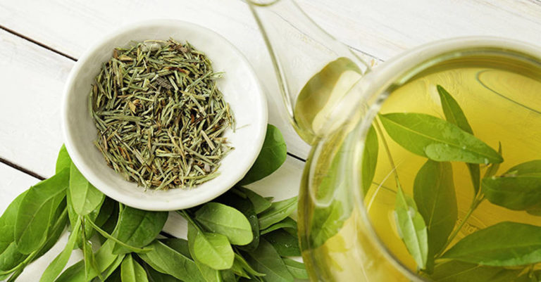 25331 5 свойств зеленого чая, которые помогут улучшить здоровье