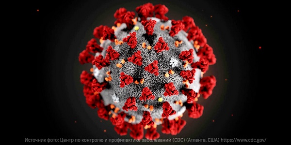 Мутация коронавируса могла ускорить эпидемию