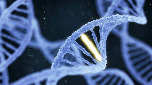 26495 Исследователи узнали, какие гены приводят к циррозу печени