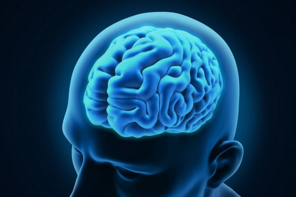 Неврологи нашли неожиданный способ омоложения мозга