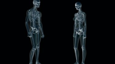 26634 Обнаружена связь между здоровьем костной ткани и сердечно-сосудистой системы