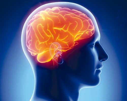 Найдено объяснение повреждению мозга при коронавирусе — медики