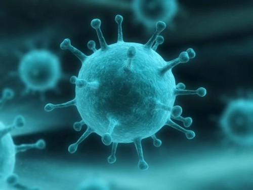Медики раскрыли влияние температуры на передачу коронавируса
