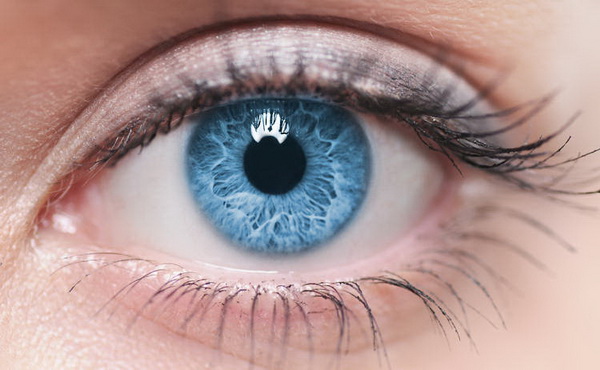 28568 Ученые открыли новый тип нервных клеток в сетчатке глаза