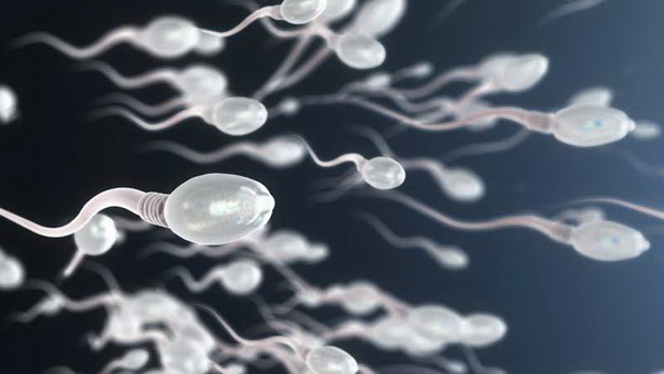 28749 COVID повреждает сперму на месяцы вперед, затрудняя зачатие ребенка