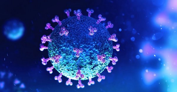 28997 Израильские ученые составили профиль коронавируса